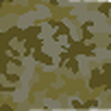 Desert Camouflage, Call of Duty Wiki