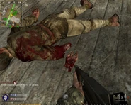 Marine Gore WaW.png (459 KB) An Imperial Japanese soldier with a dismembered hand.