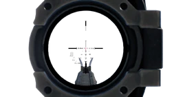 Aiming down the scope