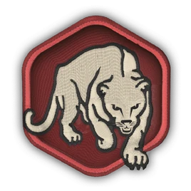 Dexterity Perk Icon BO6