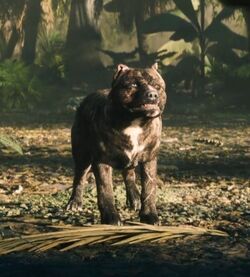K9 Unit Call of Duty Wiki Fandom