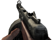 The PPSH in first person