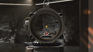 Recon magnified aiming down sights.