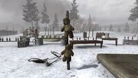 Teddy Bears Training CoD2