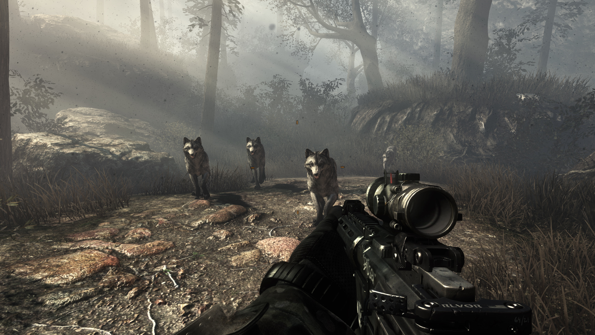 Call of duty сюжетка. Call of duty сюжетка. Волк call of duty. Call of duty 3 (ps3). Cod3 игра.