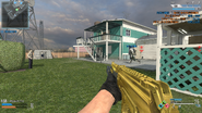 AK117 Gold CoDO