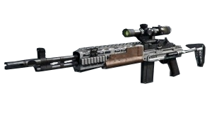 m14 ebr mw2