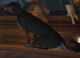 Fluffy Origins BOII