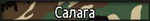 01-FNG.png