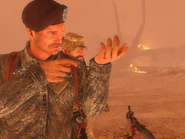 Это не похоже на бой