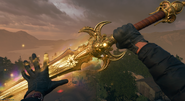 Parrying with the Solais.