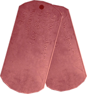 Dog Tags in Modern Warfare 3. Note that the dog tags say "Simon 'Ghost' Riley".