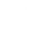 Overkill Perk Icon CODV.png