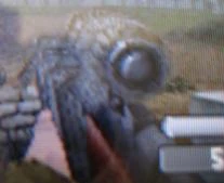 The Springfield on DS