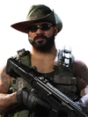 D-Day Bushranger Skin MW