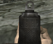 Iron sight view