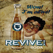 Quick Revive Poster WaW