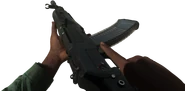 Inspecting the AN-94.
