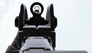 Aiming down the sights