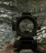 Aiming down the ACOG Scope CODG