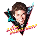 David Hasselhoff icon IW