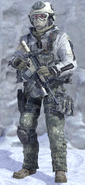 Call of Duty Modern Warfare 2 141 Arctic 3