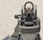 Peacekeeper Iron Sights BO4