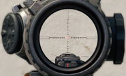 Aiming down the scope