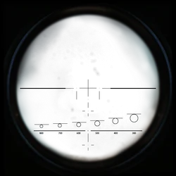 Scoped view.