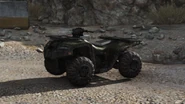 ATV during the Multiplayer Open Beta.