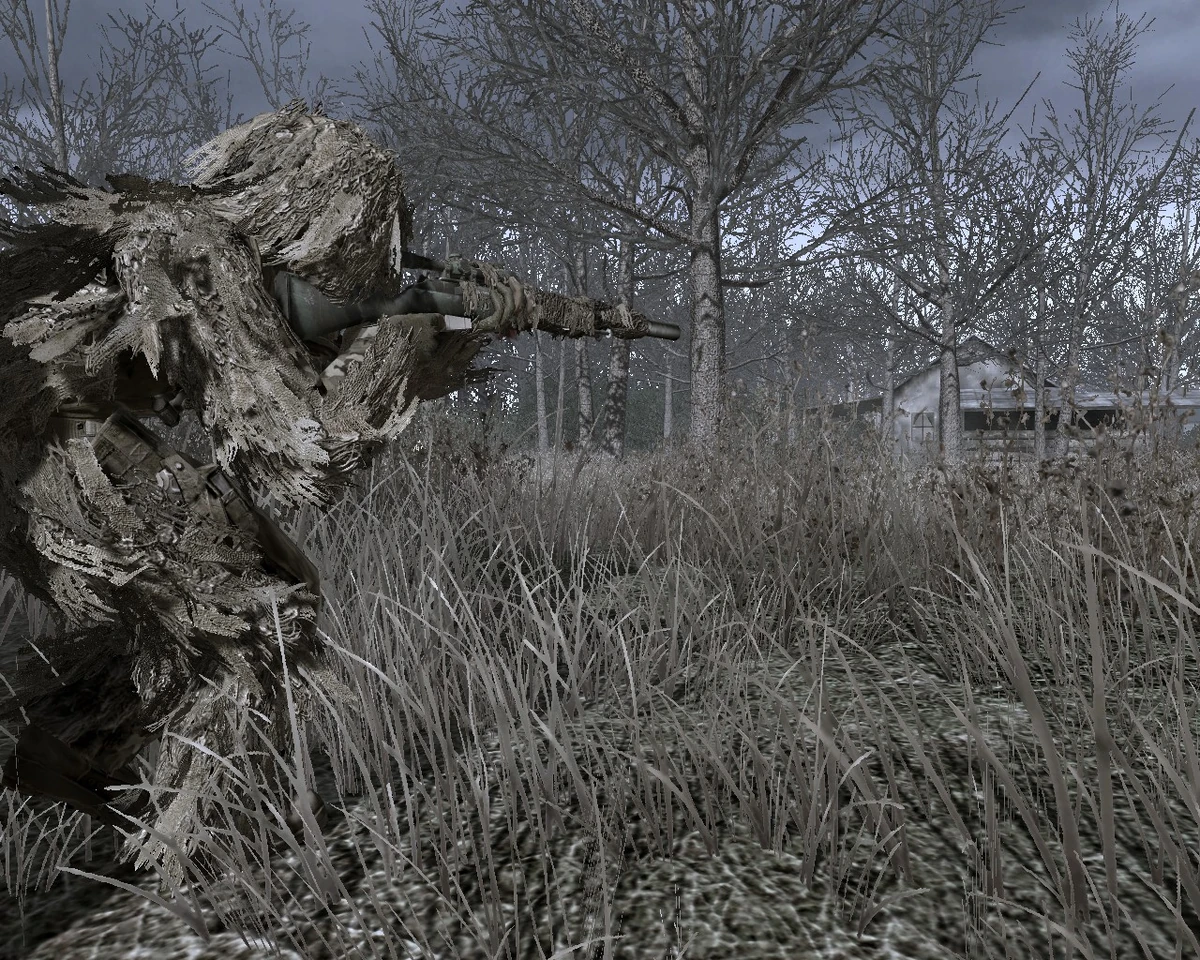 Камуфляж cod4 mw. Call of duty камуфляж. Call of duty камуфляж. Варзон call of duty. Оружие из call of duty warzone.