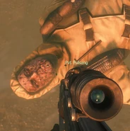 Фулсанг с нормальными глазами