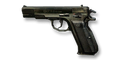 CZ75 (taken from VC Bookie)