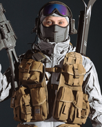 Alpine's Dossier Image.