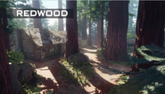 Redwood BO3
