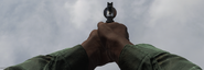 The default Iron Sights of the .357.