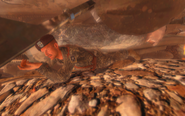 Shepherd can be seen in a prone position before he runs in front of the player in Endgame.