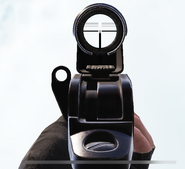 Aiming down the sights