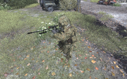 In Game Ghillie Suit.