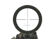 Aiming down the scope of the MK14 EBR