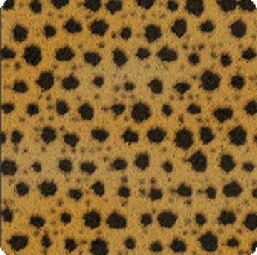 Cheetah Camouflage, Call of Duty Wiki