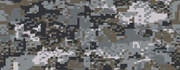 Ghostex1.png