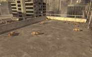 Teddy Bears Highrise MW2