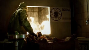 The Teddy Bear as seen in the Zombie Labs video.
