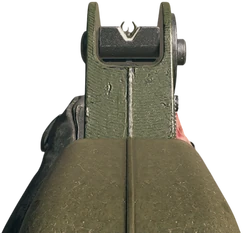 Aiming with the Model L.