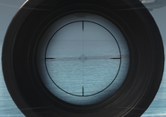 Aiming down the scope