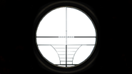 The Mosin-Nagant's scope reticle