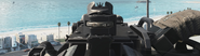 Iron sights of the Sentinel variant