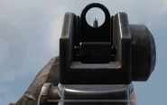 Aiming down the sights