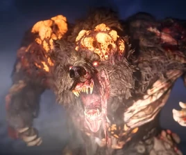 Zursa AshesOfTheDamned BO7